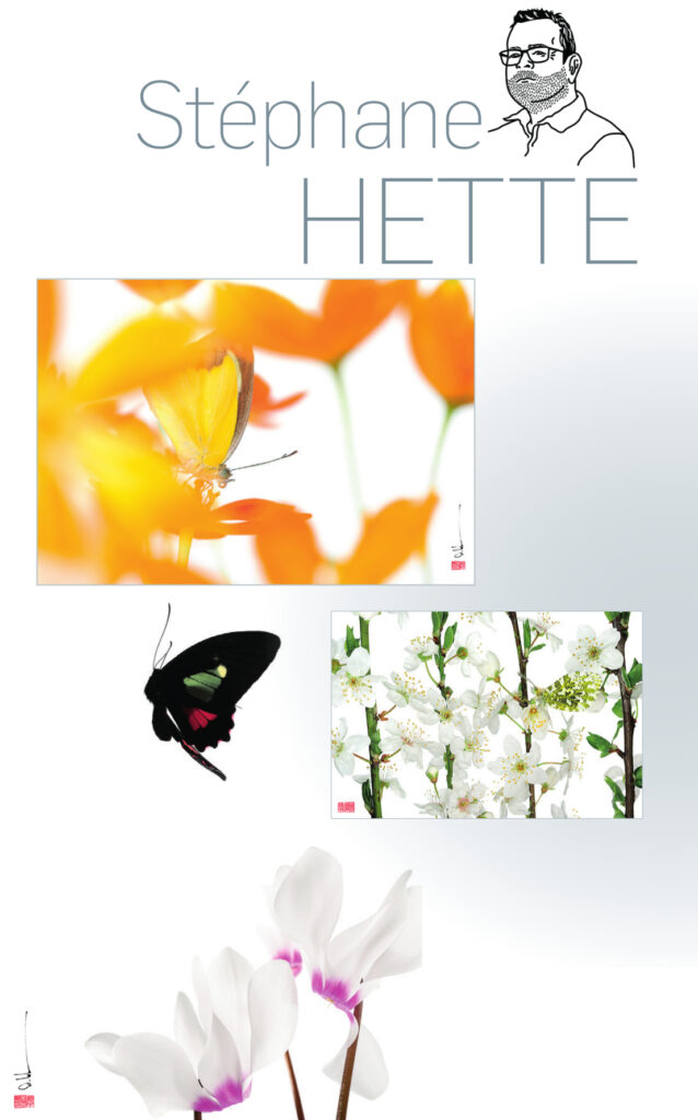 S-Hette